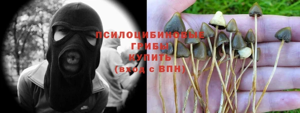 гидропоника Балабаново