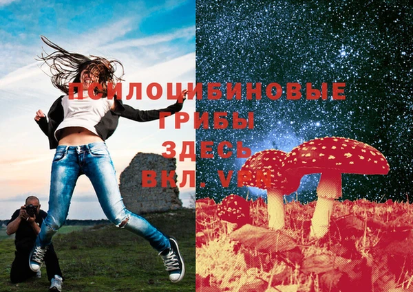 гидропоника Балабаново