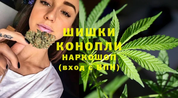 гидропоника Балабаново