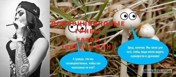 гидропоника Балабаново