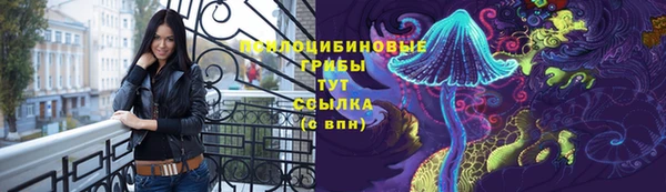 гидропоника Балабаново